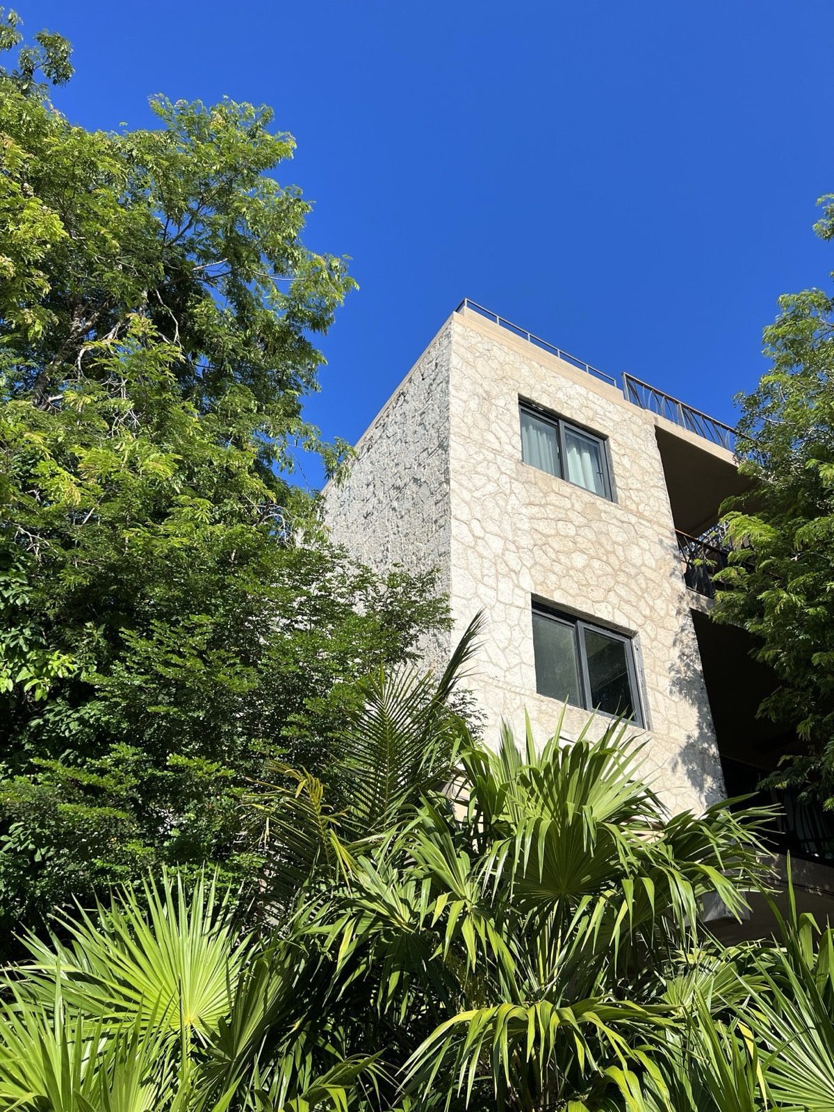 A white-stucco residence in Aldea Zamá rising above the jungle canopy against a clear sky — the three- to four-story cap that keeps the neighborhood in scale