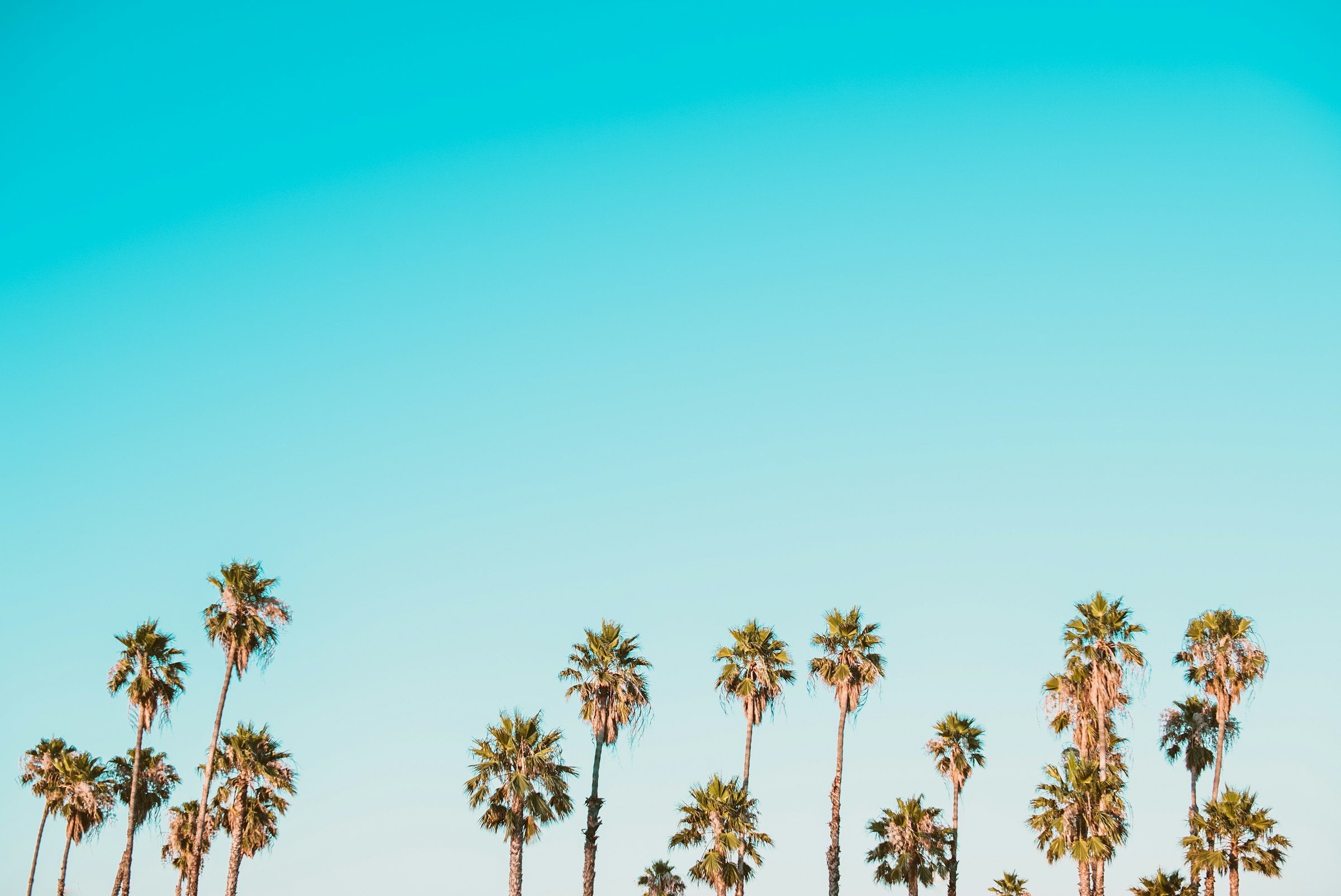 Best Miami Airbnb Management Companies for Out-of-State Owners — Virestia Insights
