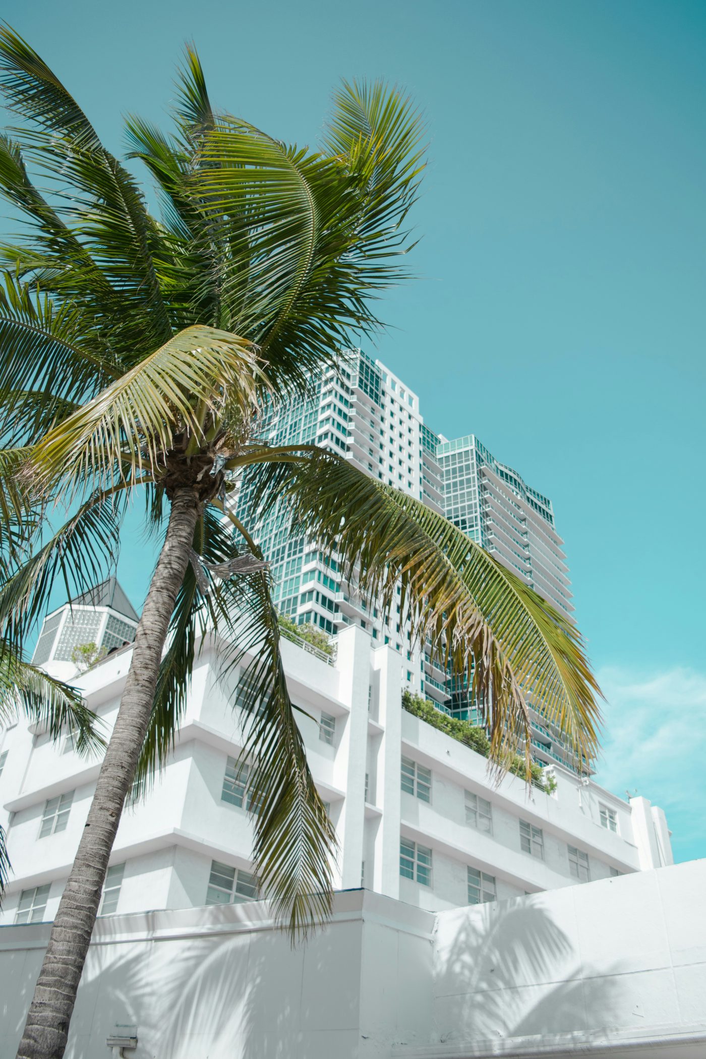 Vacation rentals in Miami